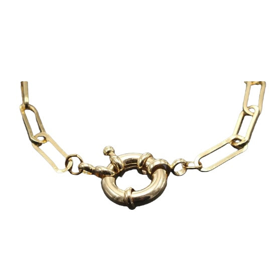 long-chain-ampmbasics